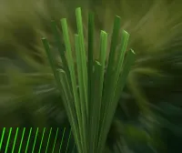 Flashblade detail 5